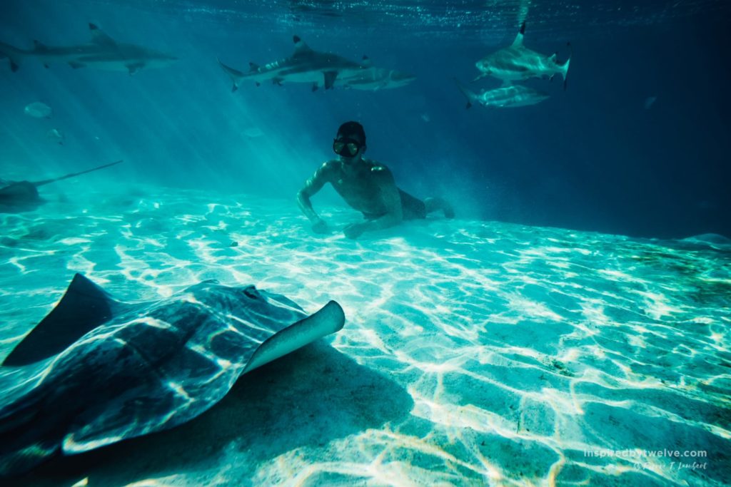 french polynesia snorkeling