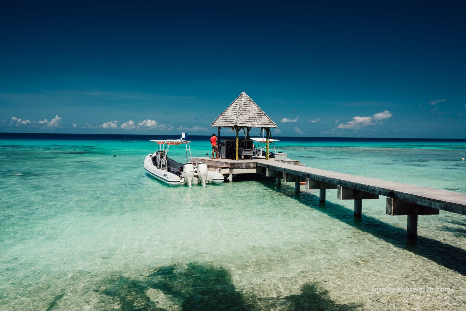 top dive rangiroa diving guide0 Inspired By Twelve