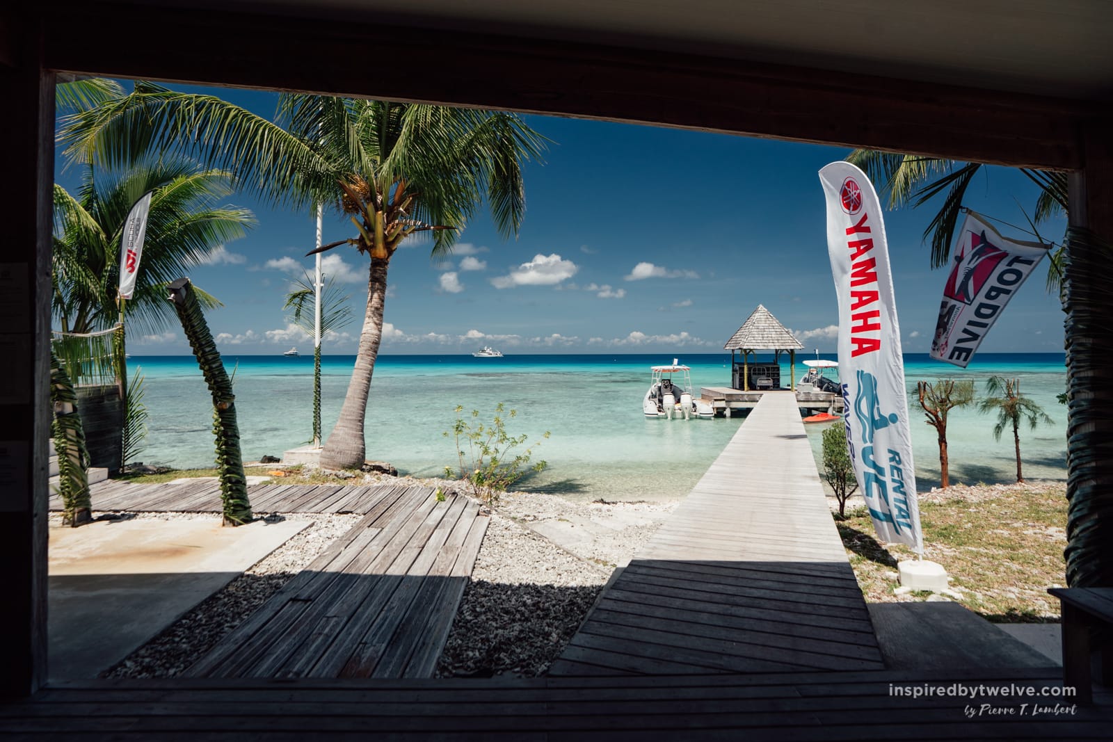 top dive rangiroa diving guide1 Inspired By Twelve